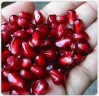 fresh pomegranate