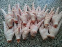 Chicken Paws, Chicken Feet, Whole chicken, and Chickens Parts for Exports