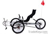 RECUMBENT TRIKE From China
