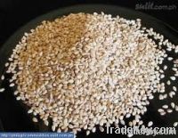 SESAME SEEDS