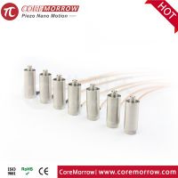 Piezo actuators with casings_CoreMorrow