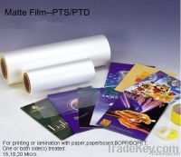 Matte film