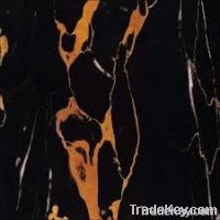 Black &amp; Gold Marble