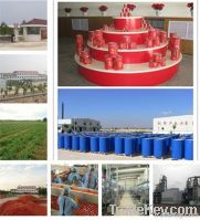 Aseptic cold break tomato paste