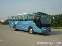 Coach/School bus/ Bus