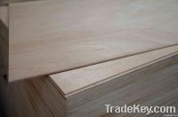 Plywood door skin