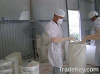 Highest quality talc powder from Vietnam