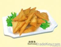 Frozen Samosa
