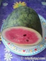 asia fruit-fresh watermelon