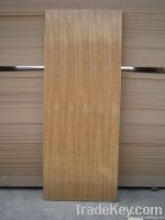 FLUSH DOOR