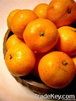 Kinnow (Mandarin)