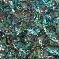 Mother of Pearl Shell Mosaic/Wall Tile/Mosaic Tile