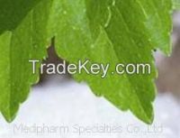 Stevia Extract