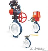 lined butterfly valve