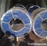 Hot Dipped Galvanized Steel Coil