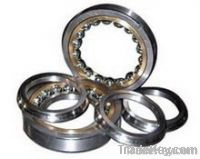 Angular Contact Ball Bearing