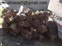 African Blackwood logs, African Ebony