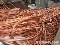 Copper Scraps Suppliers | Copper Scrap Exporters | Copper Scrap Manufacturers | Cheap Copper Scrap | Wholesale Copper Scraps | Discounted Copper Scrap | Bulk Copper Scraps | Copper Scrap Buyer | Import Copper Scrap | Copper Scrap Importers | Copper Scrap 