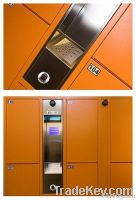 Fingerprint electronic locker