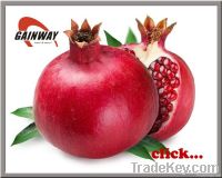 Ellagic acid 40% Punicalagins 20%Pomegranate Extract powder