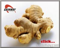 Gingerols high quality Ginger Extract