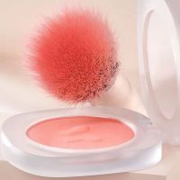 5-Piece Eye Makeup Brush Set: Eyeshadow Blender, Nose Contour, Waterline Brightener & Precision Eyeliner Tools