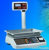 Electronic Cash Register Scale