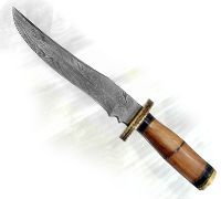 Folding Stainless Steel Knife