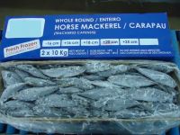 Horse Mackerel