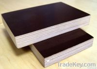 brown film faced plywood
