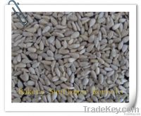 Confectionary/Bakery sunflower seeds kernels