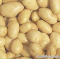 Potato Diamant From Bangladesh