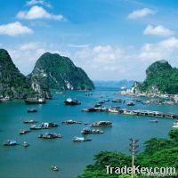 Trip to Halong bay, Visit Halong bay with cruise