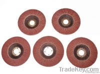 Flap Disc