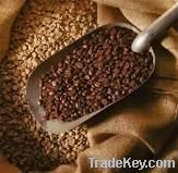 Coffee and Cocoa Beans