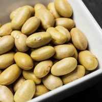 Canary Beans Known As Mayocoba Beans
