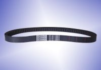 Auto Belt