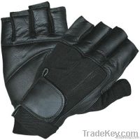 Weight Lifting Glove