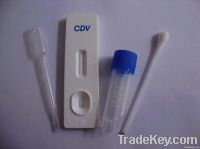 One Step Canine Distemper Virus(CDV) Ag Test (CE)