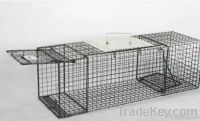 animal trap