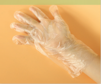 Custom Healthcare Kitchen Cooking Transparent Plastic Disposable Gloves 
