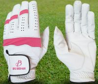 Golf Gloves