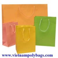 Duplex Paper Bags Vietnampolybags.com