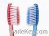 Tooth Brushes