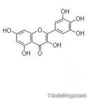 Myricetin