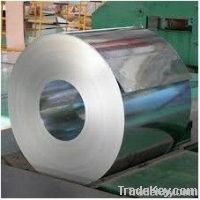 Galvanized Steel Coils