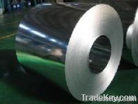 Galvanized Steel Coils