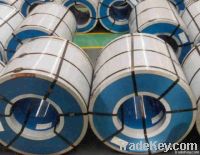 PPGI Steel Coils