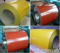 Color Coated Steel Coils