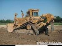 The Original Used CATD10N Is Selling